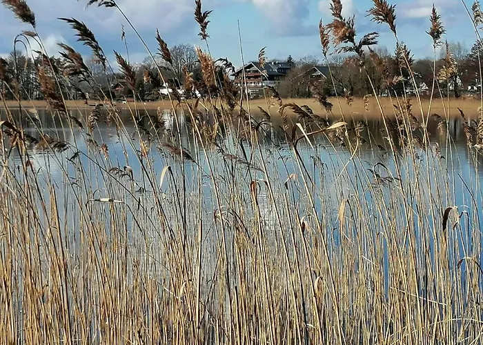 Seekajuete